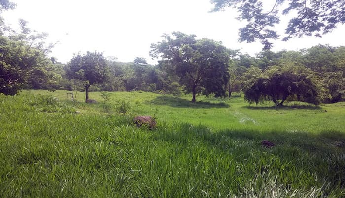 Terreno en Venta en Lagunas de Monterrico - foto 1