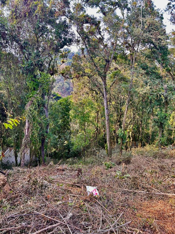 Terreno en venta Santa Rosalia km 12 C. al Salvador - foto 1