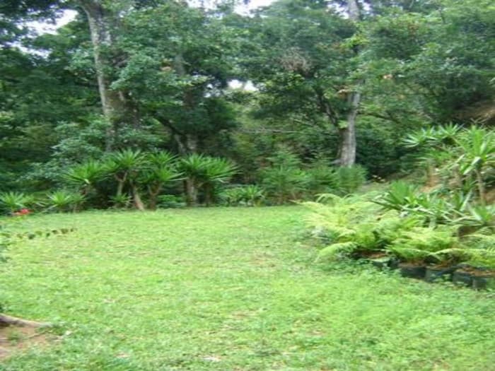Terreno en Venta en Km 24 Rumbo a Fraijanes - foto 1