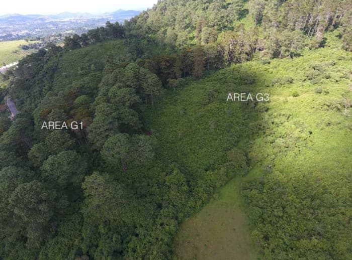 TERRENO EN VENTA PARA DESARROLLO ZONA 16 - foto 1