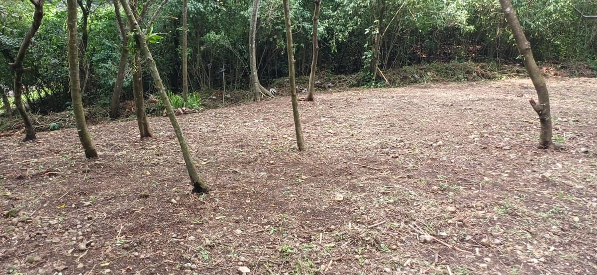 Terreno en Venta en La Reunión Antigua - foto 1
