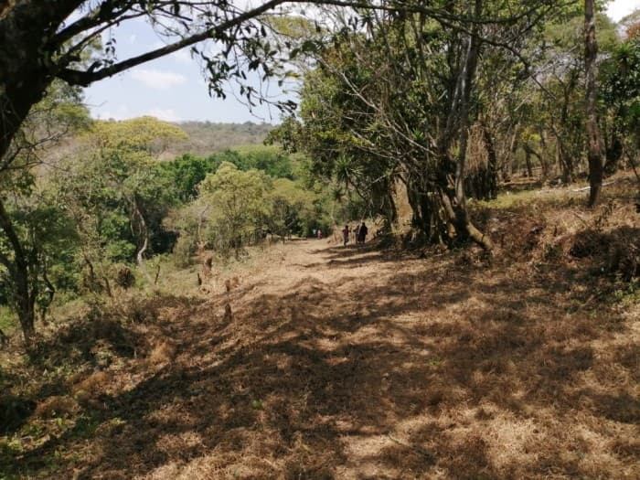 Terreno 7 manzanas km 26.5 a Santa Elena Barillas - foto 1