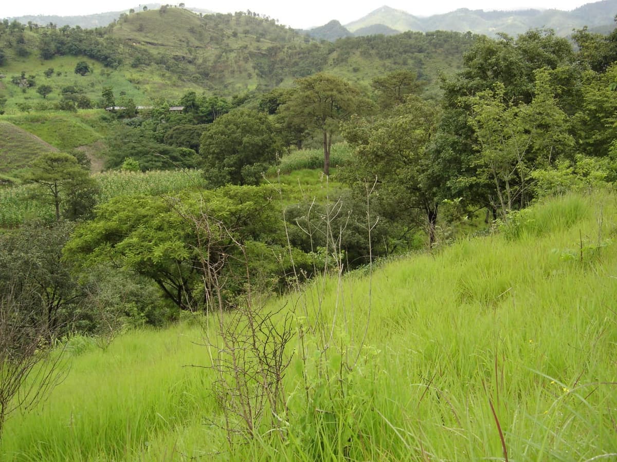 Terreno en Venta Aldea Agua Caliente El Progreso - foto 1