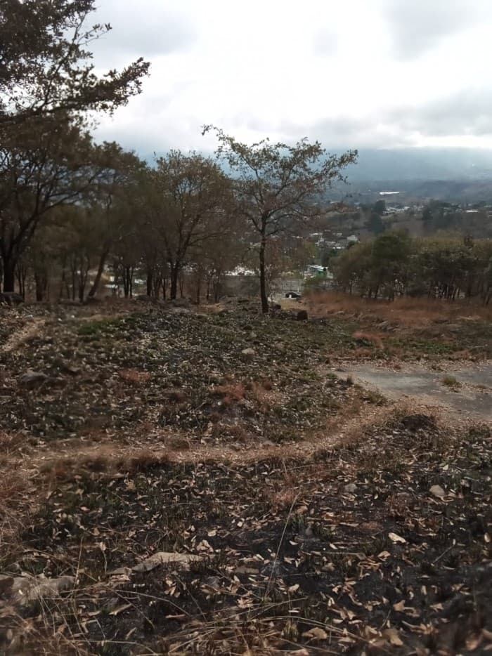VENTA Terreno para desarrollo km. 14.5 C. Atlántico - foto 1