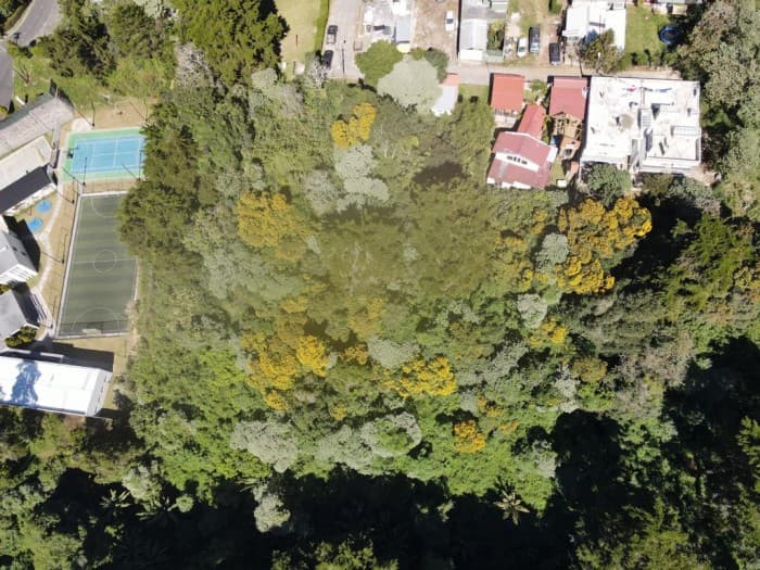 TERRENO EN VENTA EN KM. 15.5 CARRETERA AL SALVADOR. - foto 1