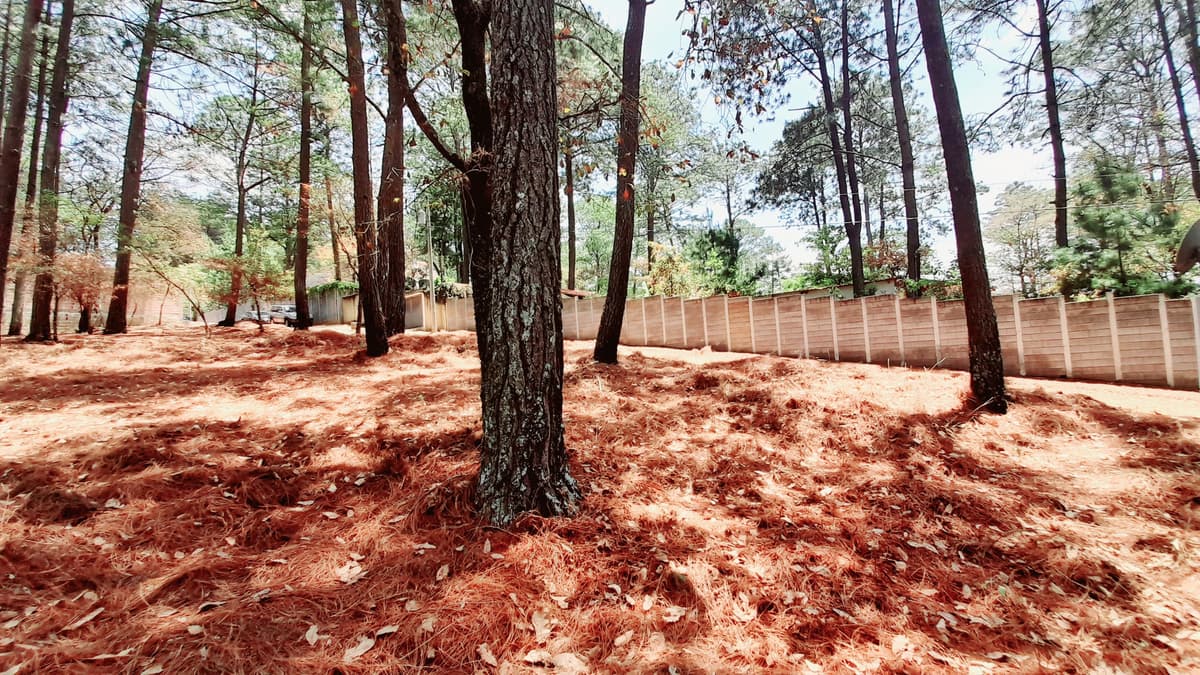 Terreno en Venta en Santo Domingo Xenacoj Sacatepequez - foto 1