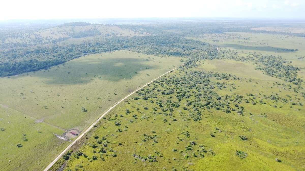 Finca de 4,876 manzanas en Venta en Petén - foto 1