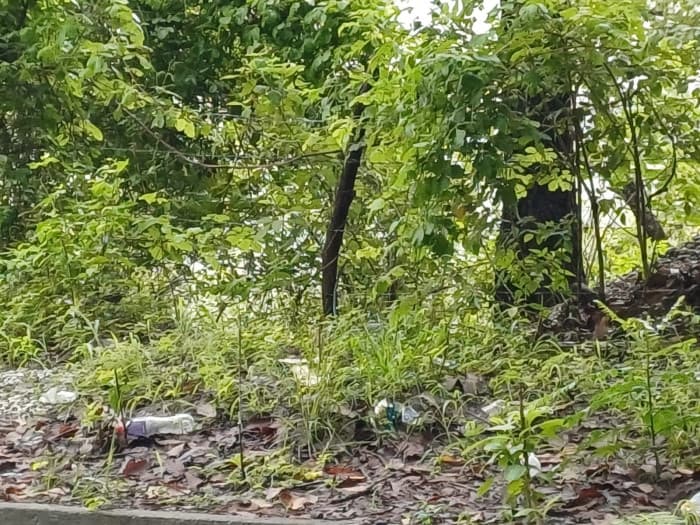 Terreno en Venta Aldea Agua Caliente El Progreso - foto 4