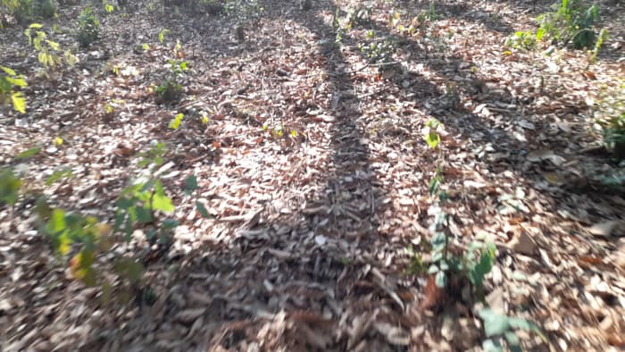 Terreno en Venta en El Encinal Zona 7 Mixco - foto 4
