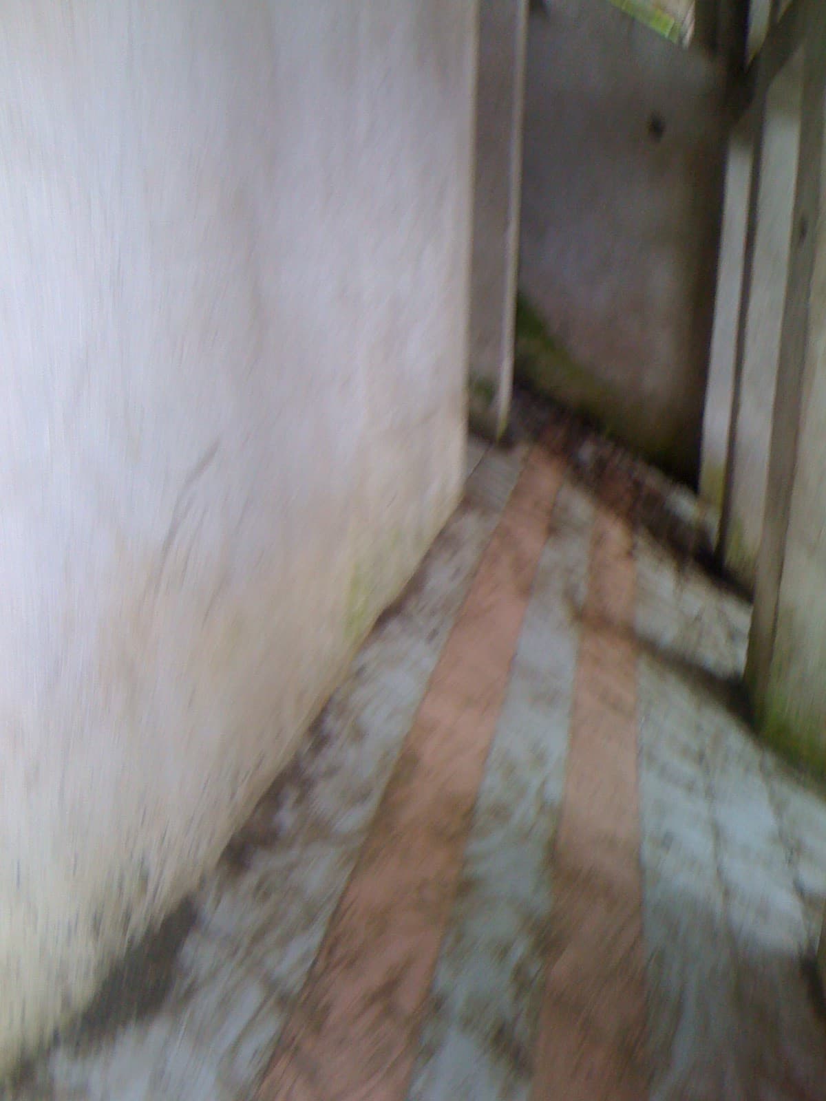 Terreno con Vocación comercial en San Antonio Palopo - foto 2