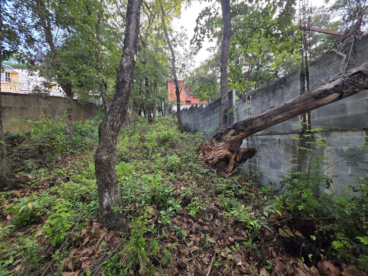 Terreno en Venta en Las Hojarascas Mixco - foto 3