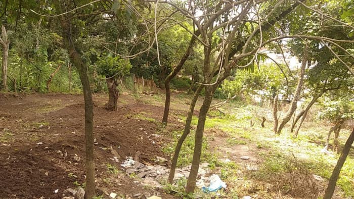 Terreno en Renta en Santa Catarina Pinula  - foto 4