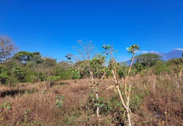 Amplio Terreno en Venta en Palín Escuintla - foto 4