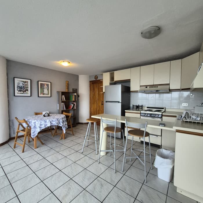 Renta apartamento amplio de 1 habitación en zona 15 VH2 - foto 6