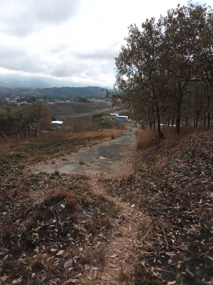 VENTA Terreno para desarrollo km. 14.5 C. Atlántico - foto 4