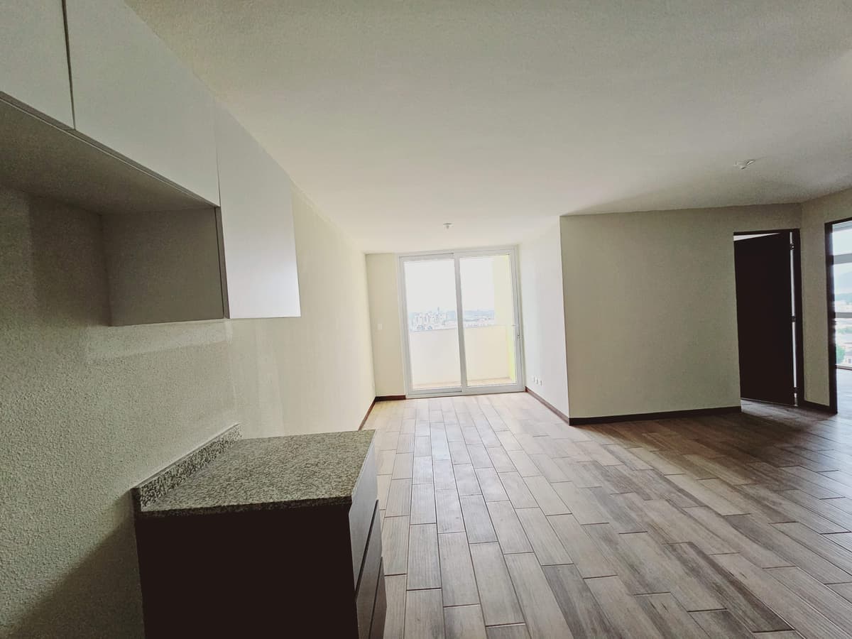 Apartamento en Venta y Renta en San Nicolas del Bosque - foto 2