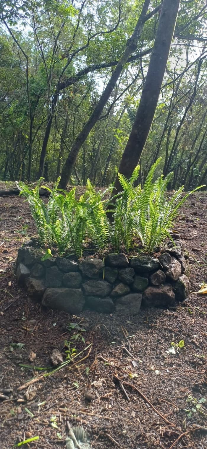 Terreno en Venta en La Reunión Antigua - foto 2