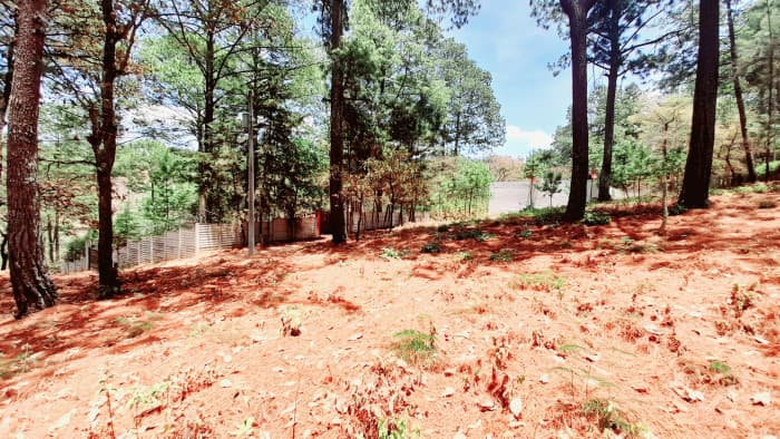 Terreno en Venta en Santo Domingo Xenacoj Sacatepequez - foto 3