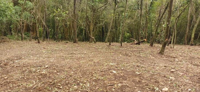 Terreno en Venta en La Reunión Antigua - foto 4