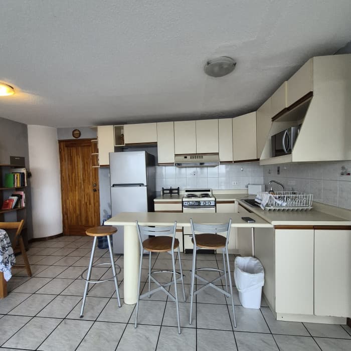 Renta apartamento amplio de 1 habitación en zona 15 VH2 - foto 5