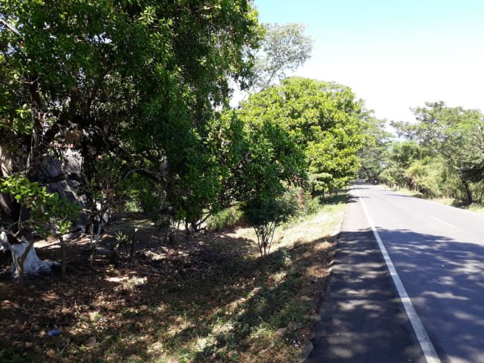 Terreno Sobre Carretera Taxisco hacia Ferry Santa Rosa - foto 2