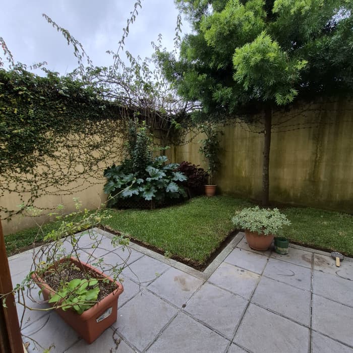 Casa en renta y venta Cumbres de La Arboleda km 21 CAES - foto 24