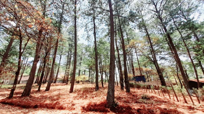 Terreno en Venta en Santo Domingo Xenacoj Sacatepequez - foto 4