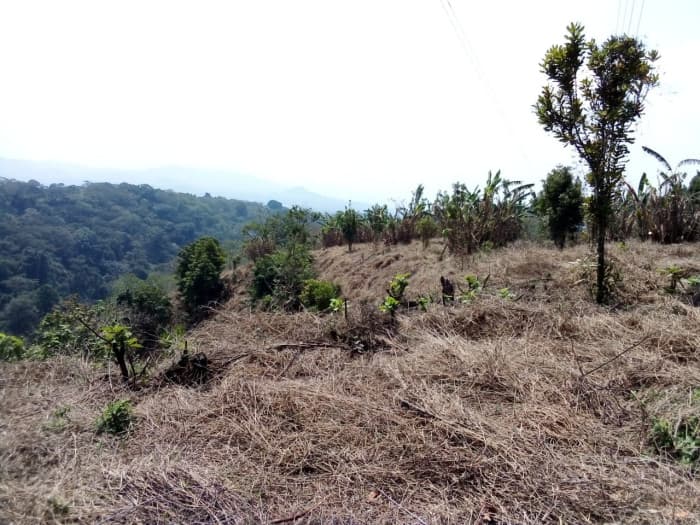 Terreno en Carretera al Salvador km 26 Sta. Elena - foto 4