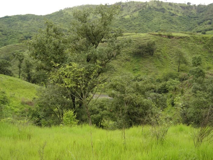 Terreno en Venta Aldea Agua Caliente El Progreso - foto 3