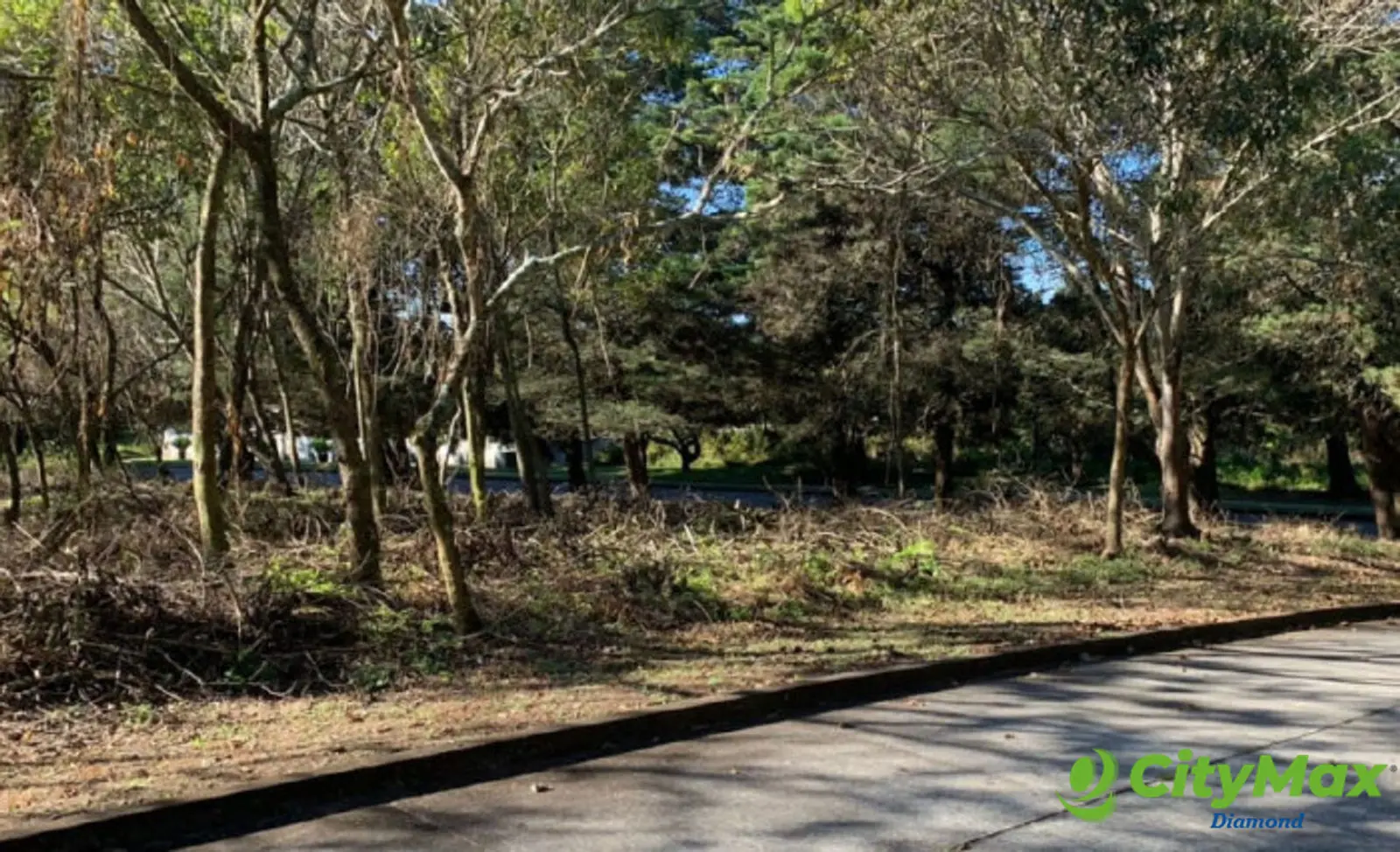 Terreno residencial en venta km. 23 Carr. al Salvador - foto 1