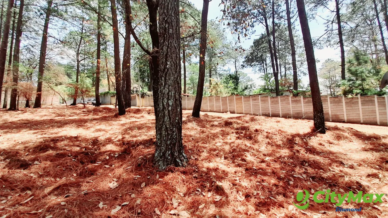 Terreno en Venta en Santo Domingo Xenacoj Sacatepequez - foto 1