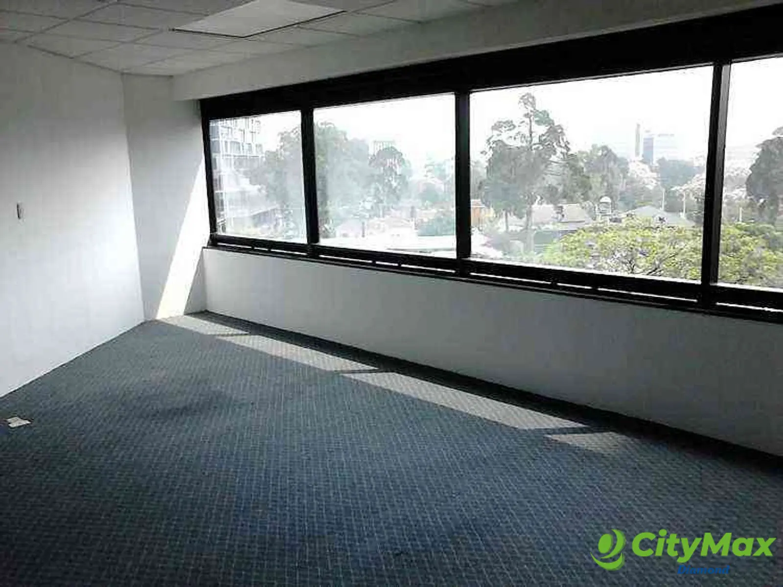 Amplia Oficina en Renta en Zona 10, Ciudad de Guatemala - foto 1