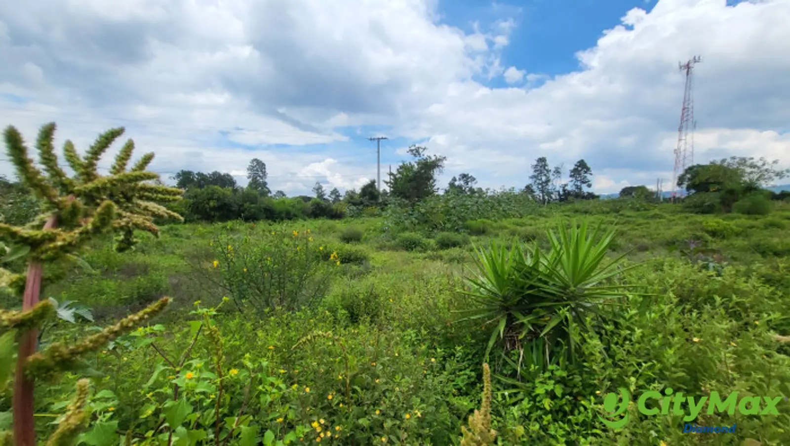 Terreno Comercial en Renta en Libramiento Chimaltenango - foto 7