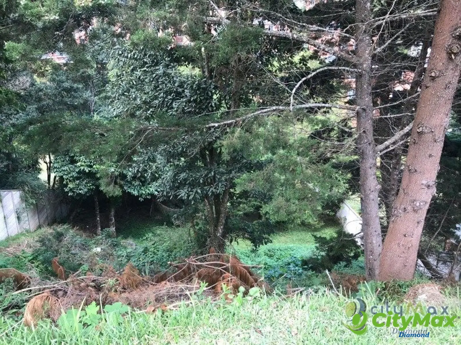 VENTA TERRENO EN BOSQUES DE LAS LUCES - foto 7