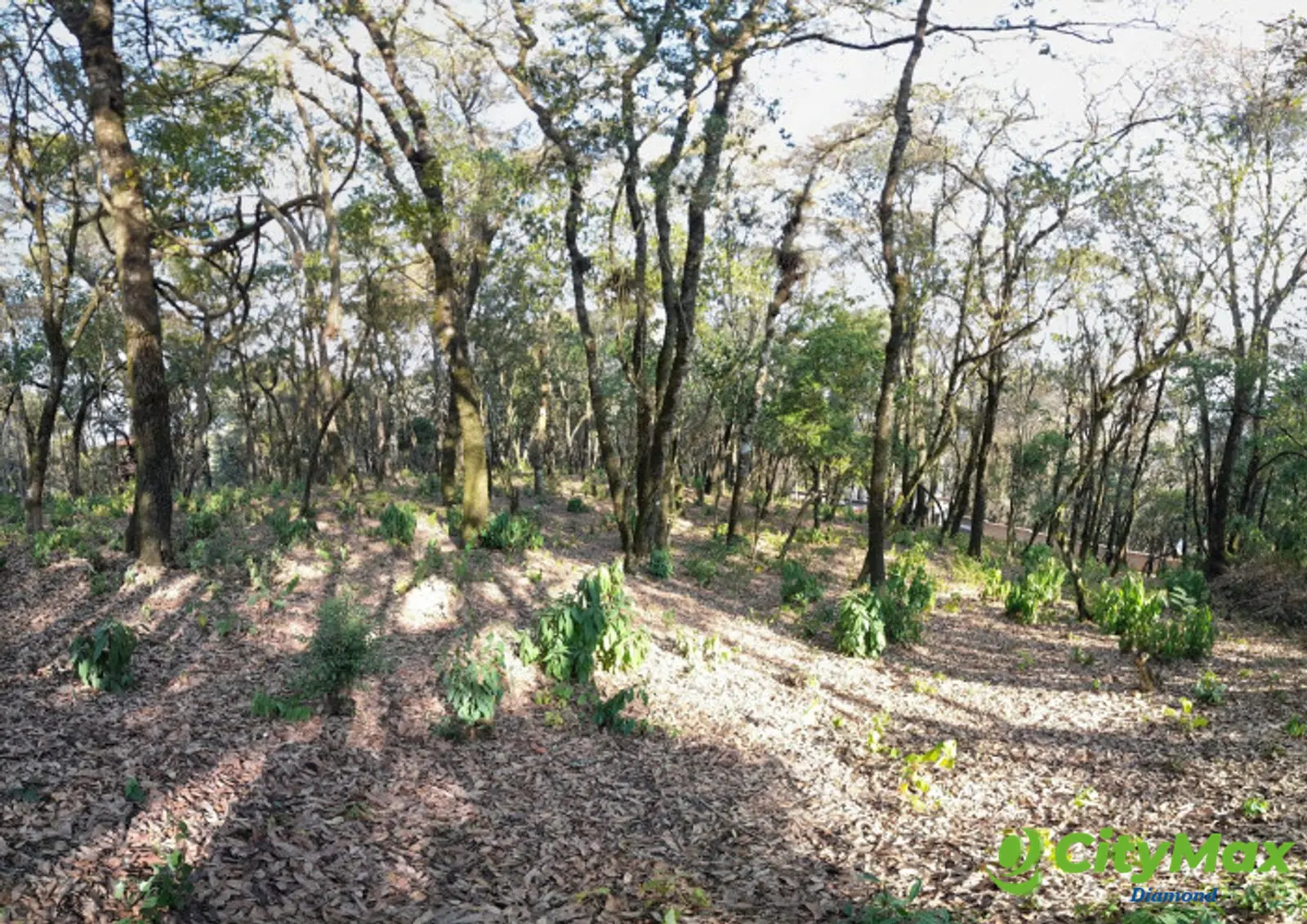 Terreno en Venta en El Encinal Zona 7 Mixco - foto 6