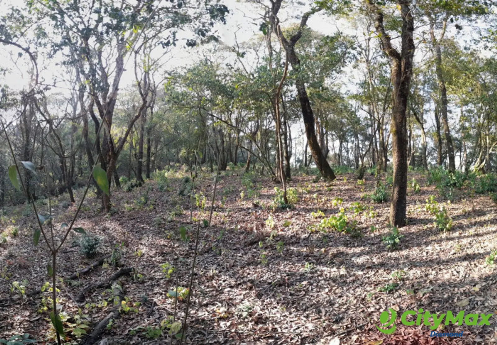 Terreno en Venta en El Encinal Zona 7 Mixco - foto 7
