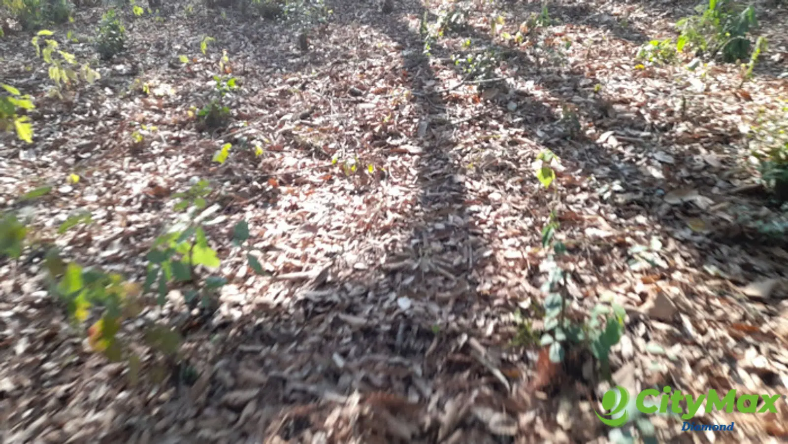 Terreno en Venta en El Encinal Zona 7 Mixco - foto 4