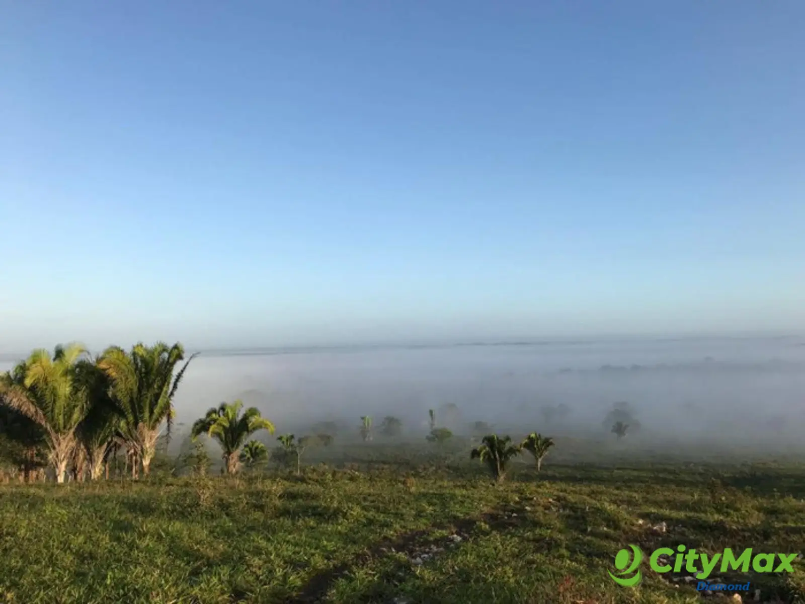 Finca de 4,876 manzanas en Venta en Petén - foto 4