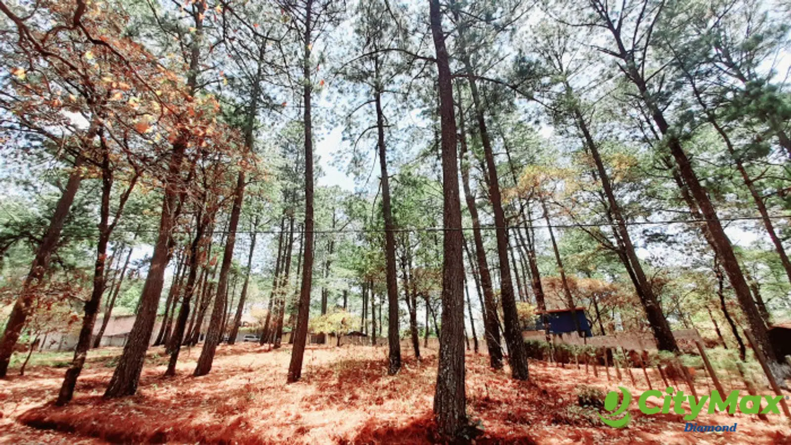 Terreno en Venta en Santo Domingo Xenacoj Sacatepequez - foto 5