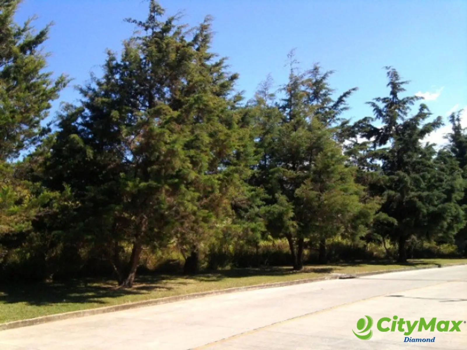 Terreno residencial en venta km. 23 Carr. al Salvador - foto 14