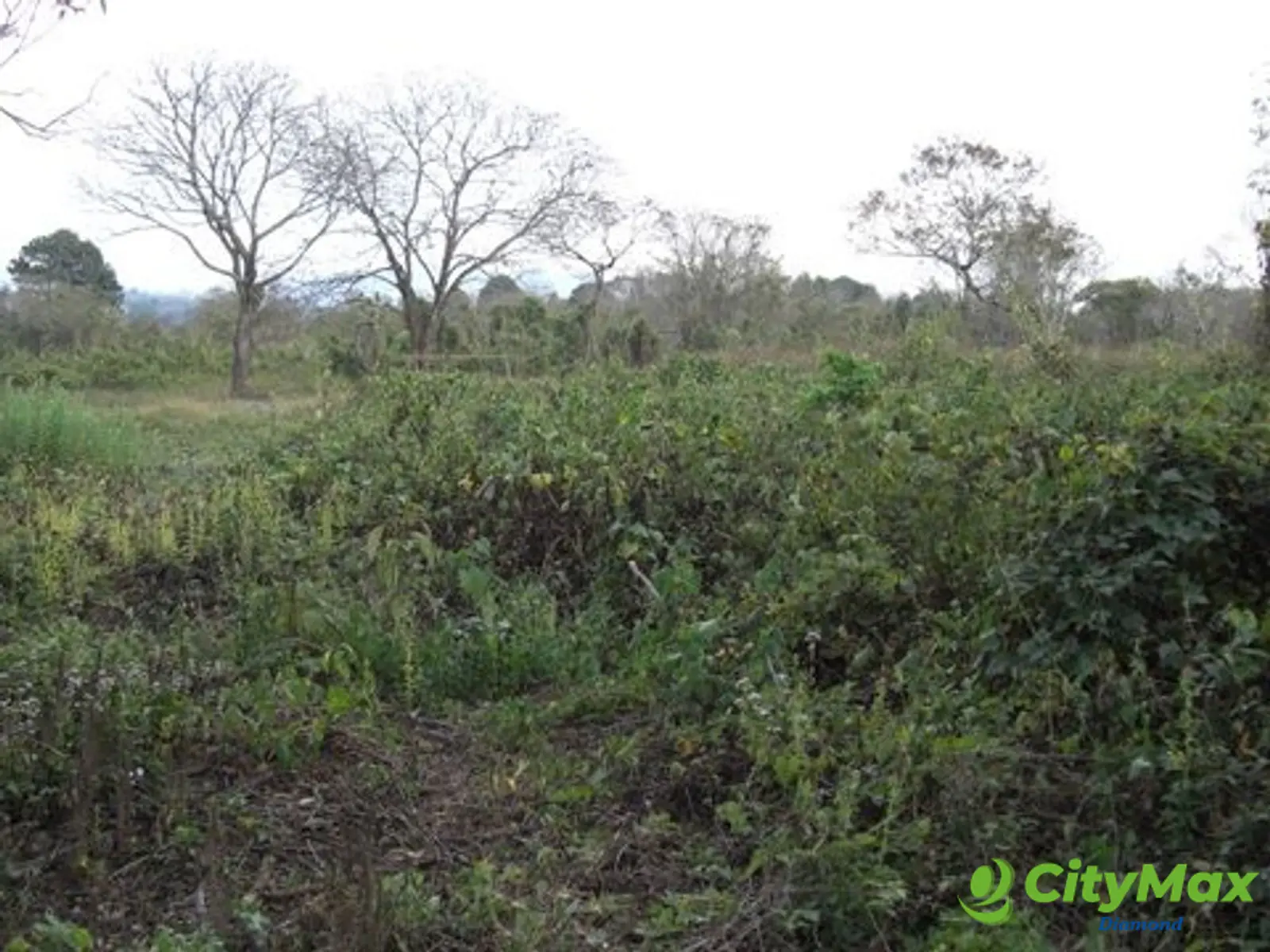 Terreno residencial en venta km. 23 Carr. al Salvador - foto 3