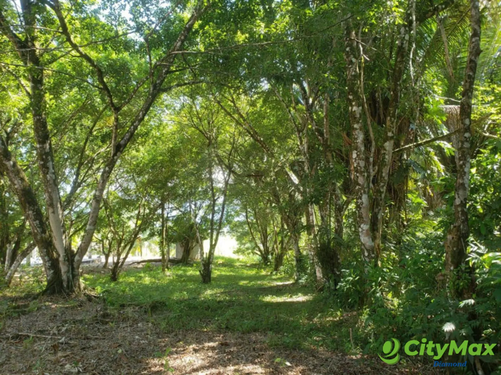 VENTA 2 Manzanas orilla lago de Izabal Livingston - foto 17