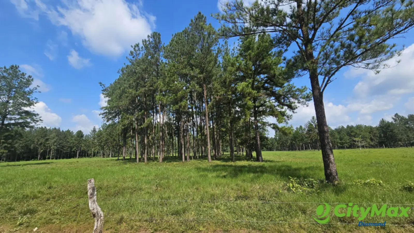 Finca de 4,876 manzanas en Venta en Petén - foto 13