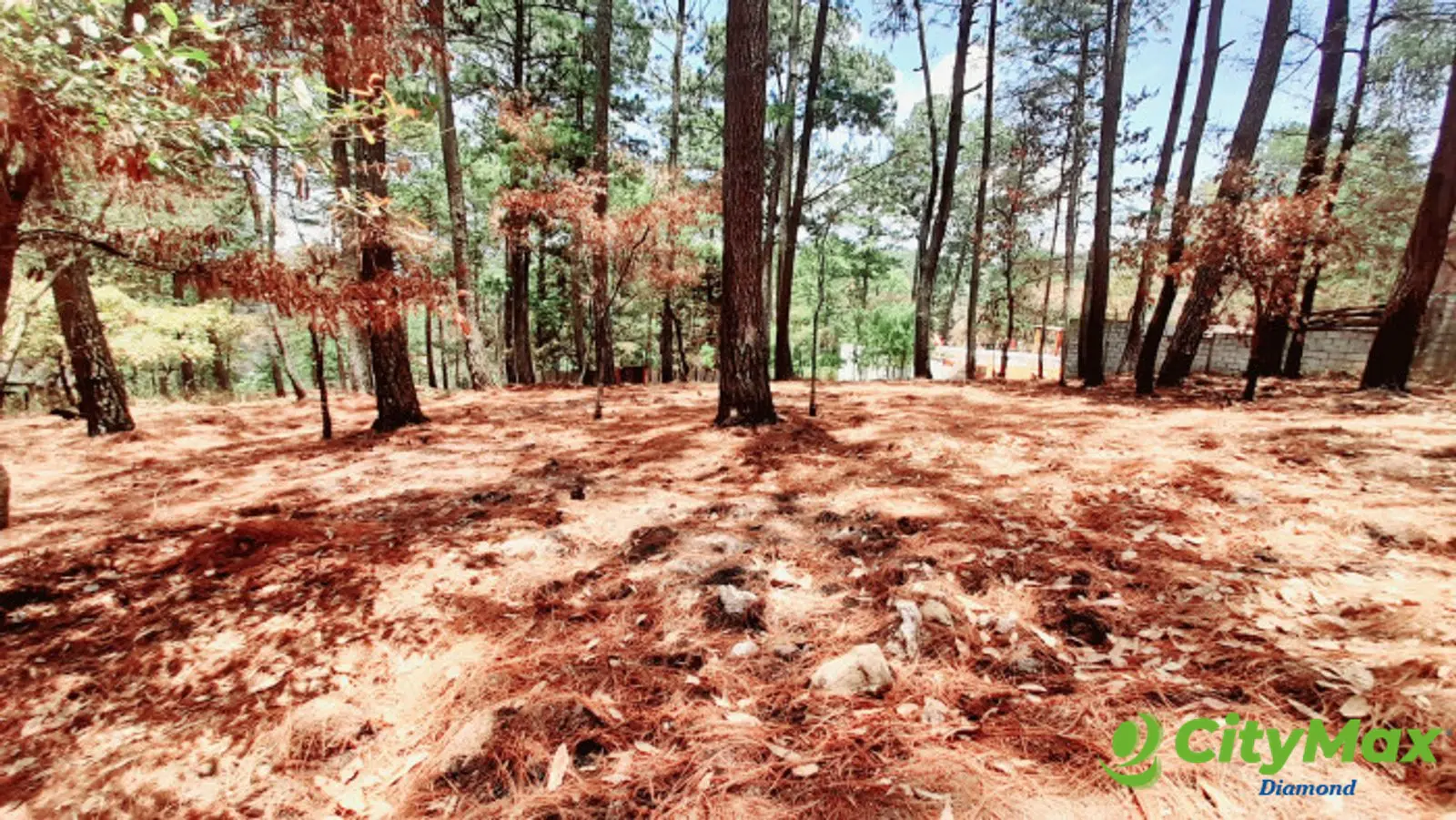Terreno en Venta en Santo Domingo Xenacoj Sacatepequez - foto 7