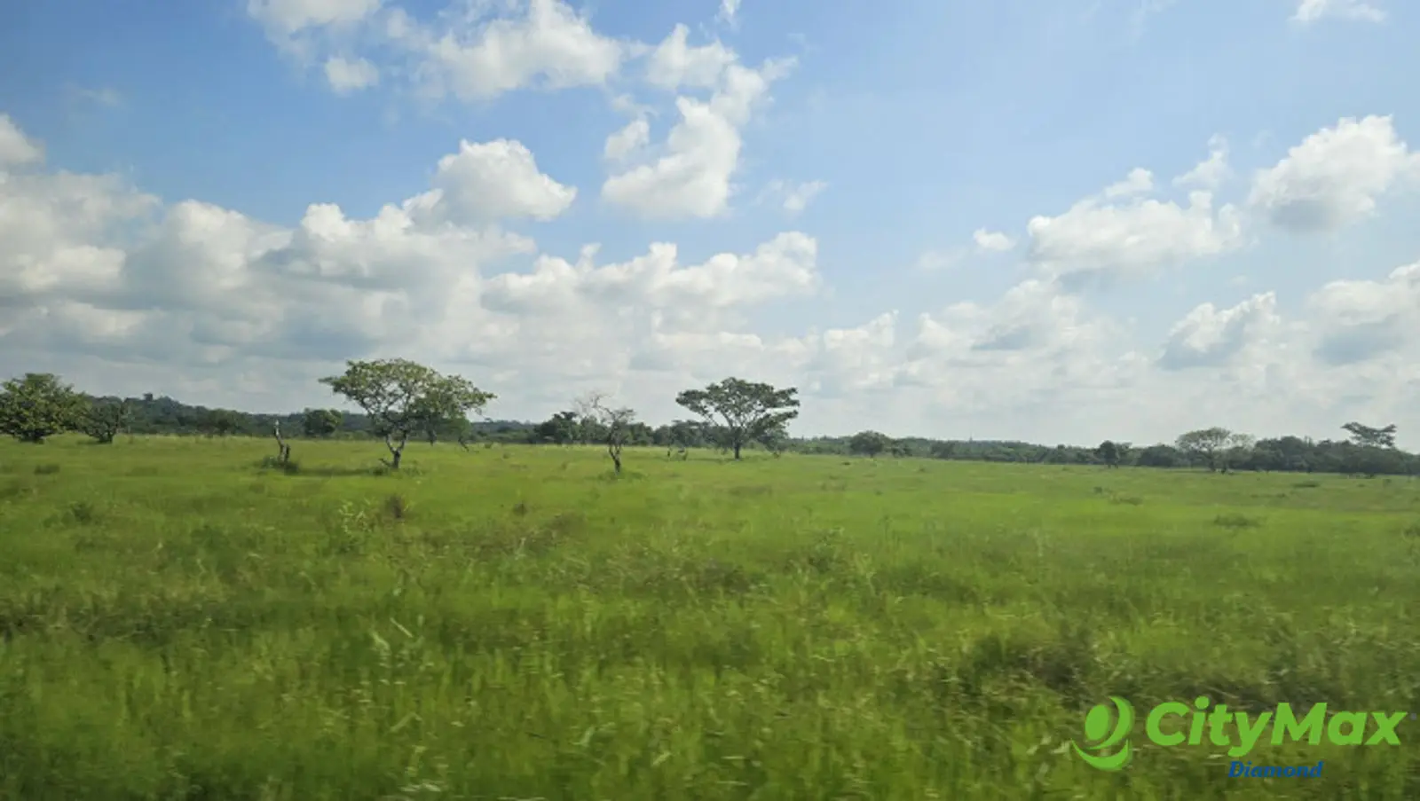 Finca de 4,876 manzanas en Venta en Petén - foto 16