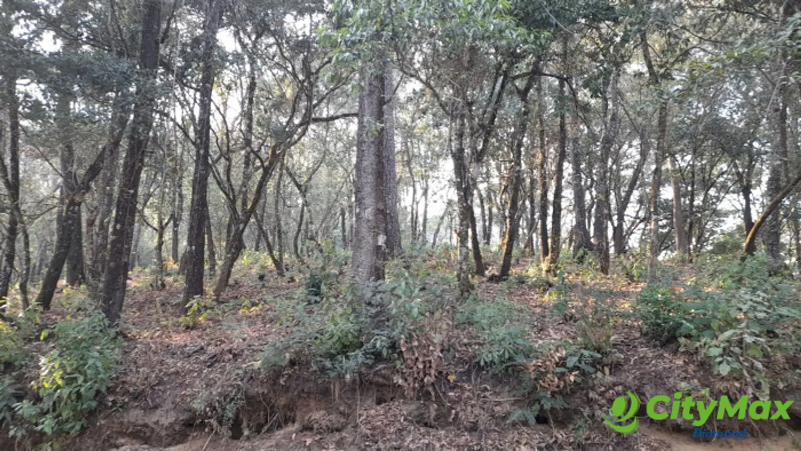 Terreno en Venta en El Encinal Zona 7 Mixco - foto 11