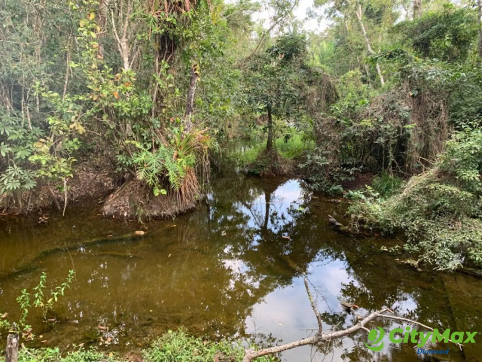 Finca de 4,876 manzanas en Venta en Petén - foto 8