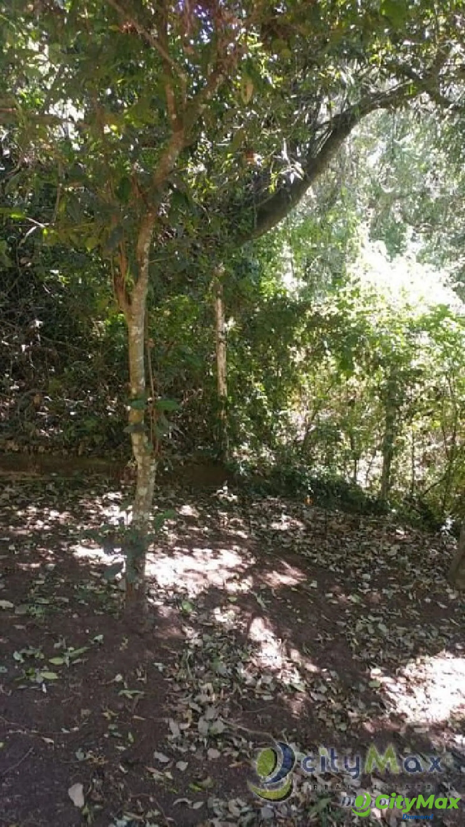 Terreno en Fraijanes KM 20.5 Carretera al Salvador - foto 14