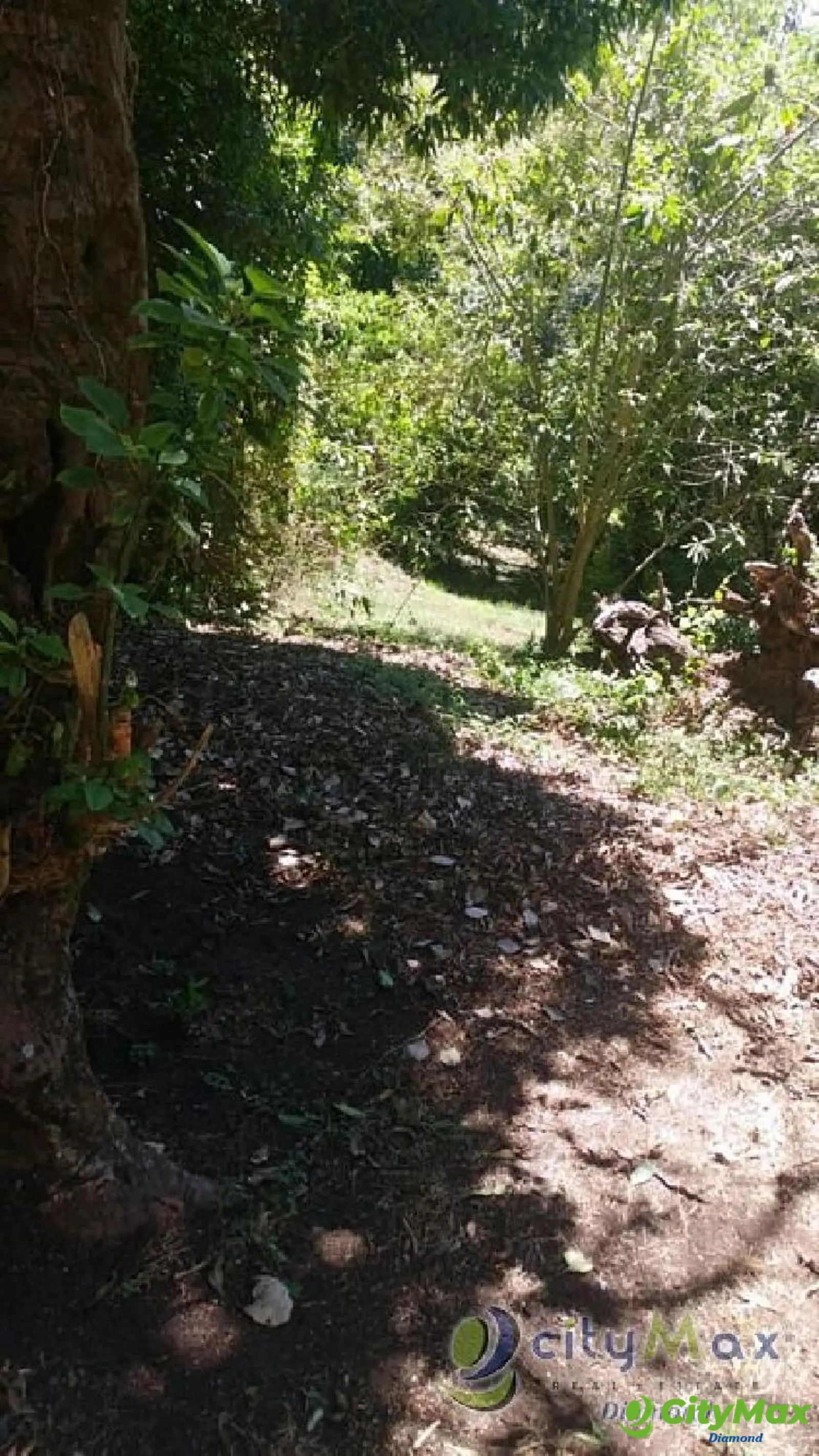 Terreno en Fraijanes KM 20.5 Carretera al Salvador - foto 7