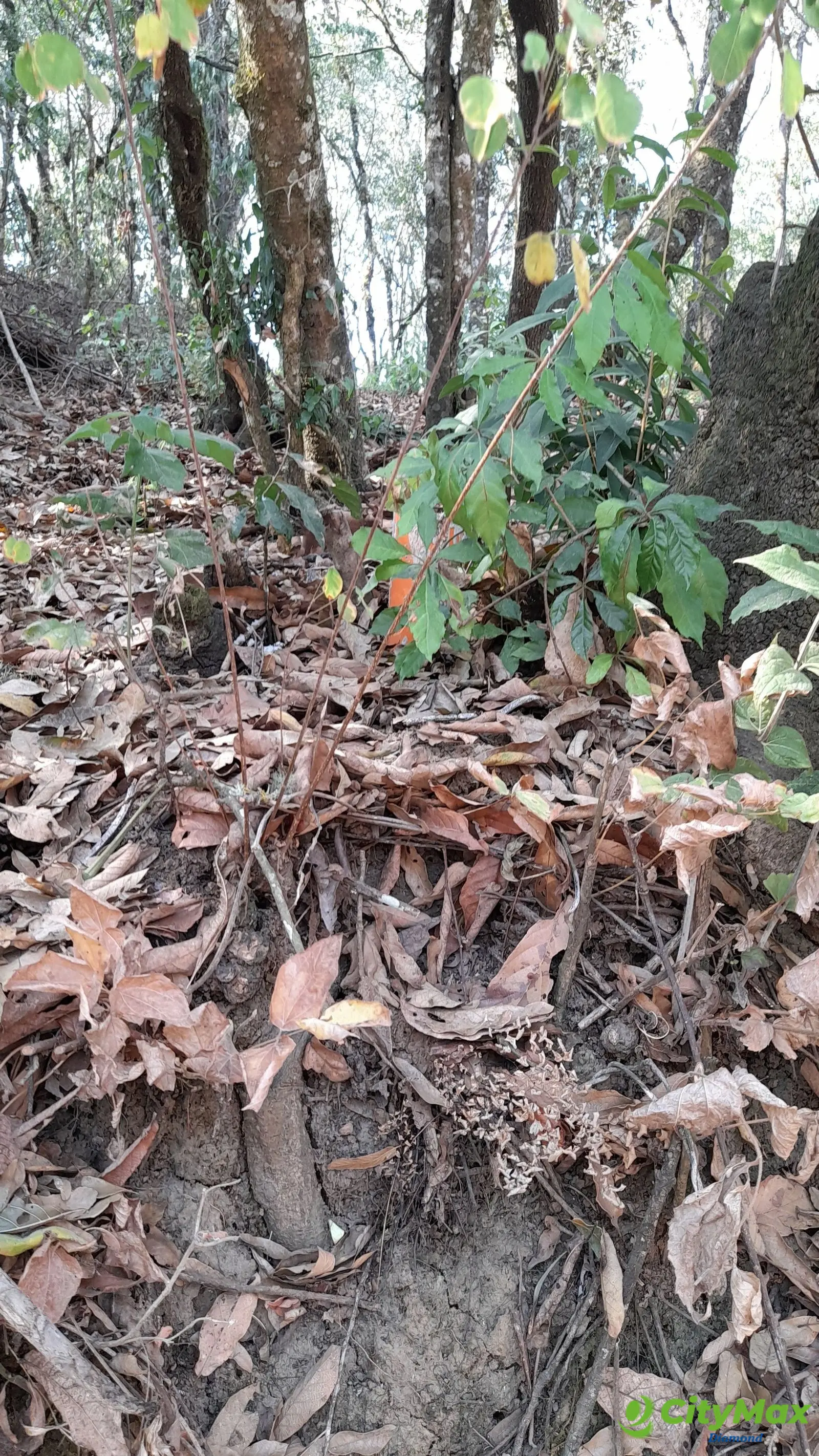 Terreno en Venta en El Encinal Zona 7 Mixco - foto 3